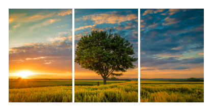 Split canvas prints - Package 1